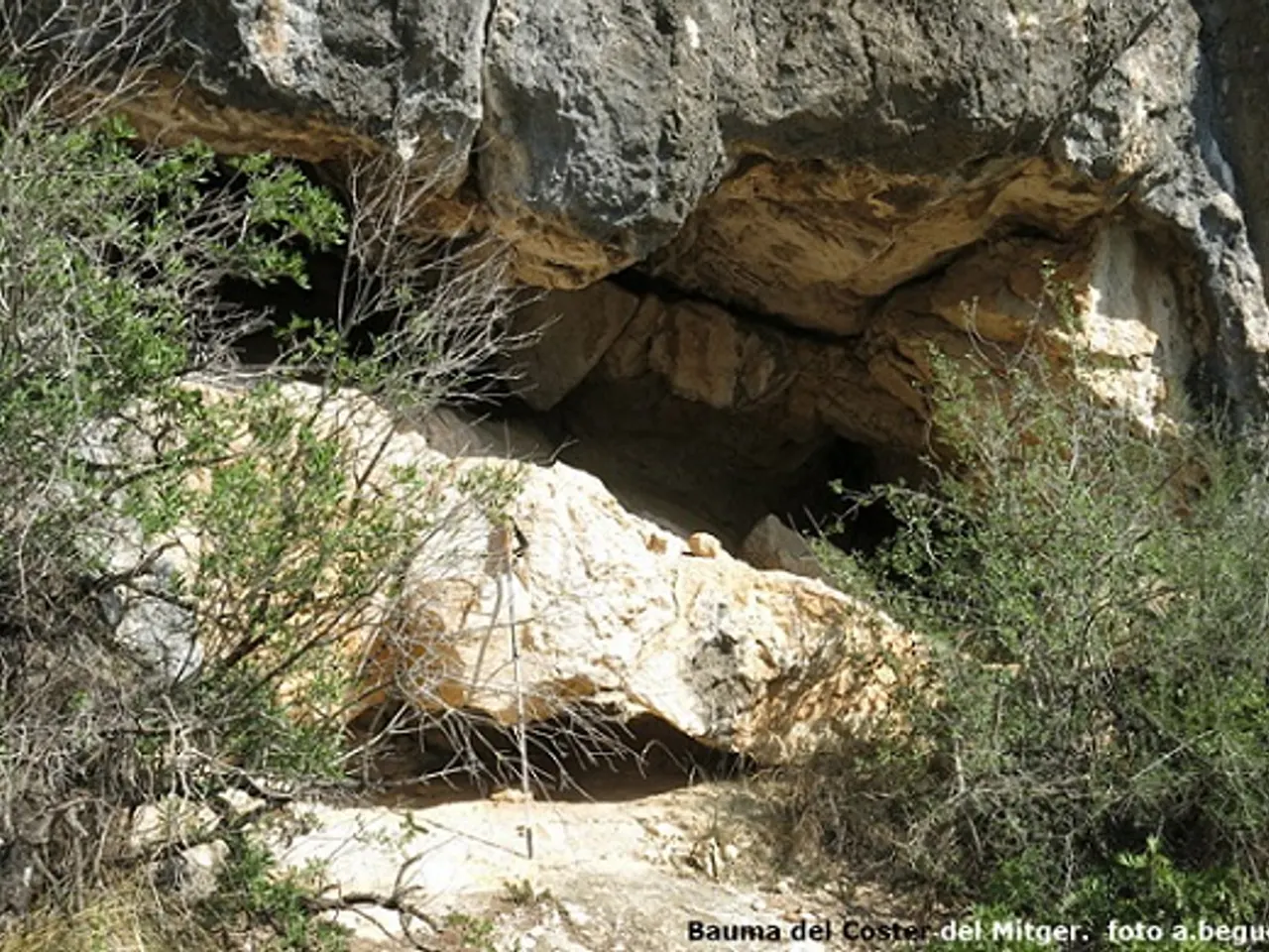 Fotografía de COSTER MITGER, BALMA DEL