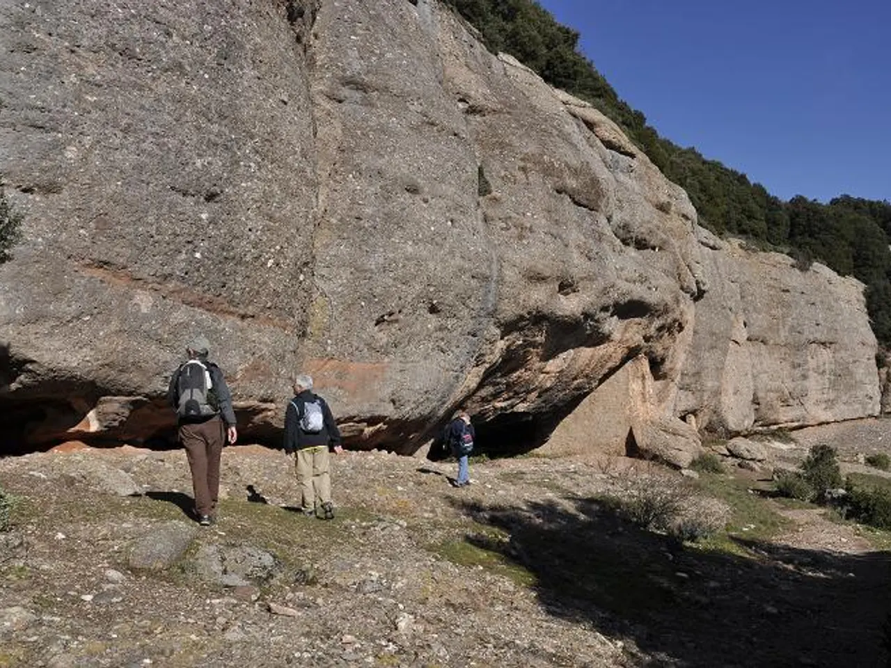 Photograph of ÒBITS, ELS