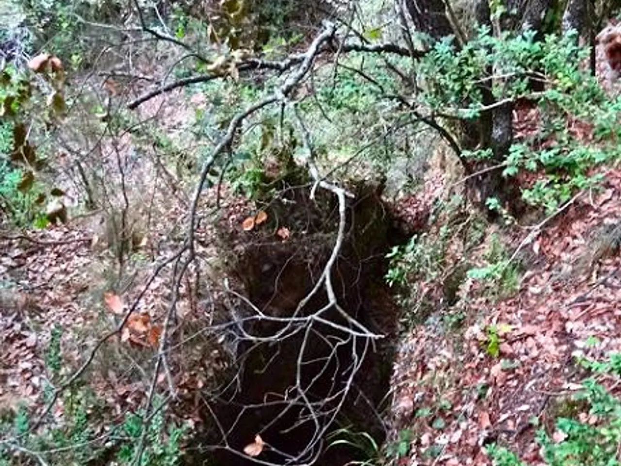Fotografia de ESQUENA D'ASES, AVENC DE L'