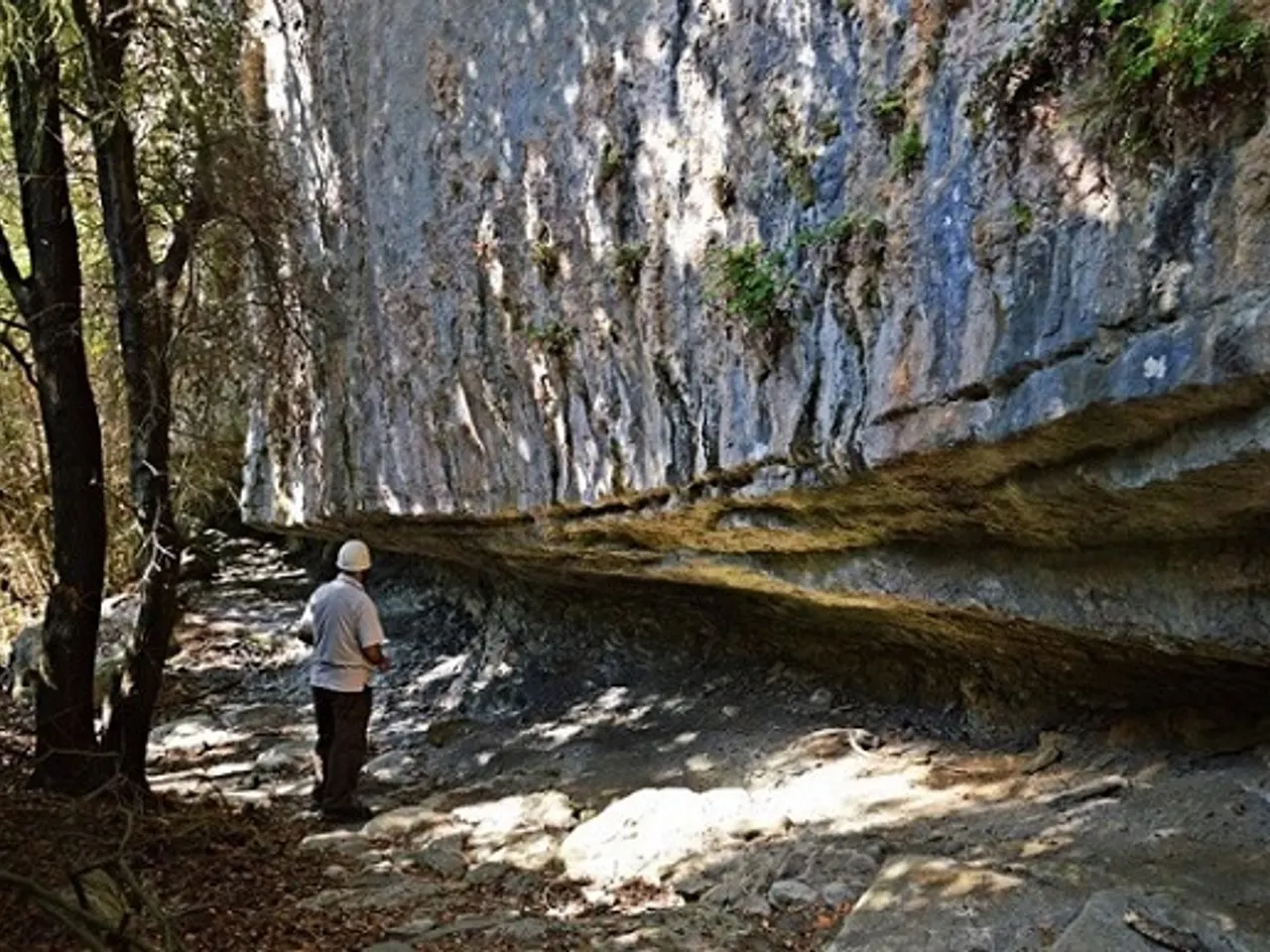 Photograph of SUNYER DE BAIX, BALMA DEL