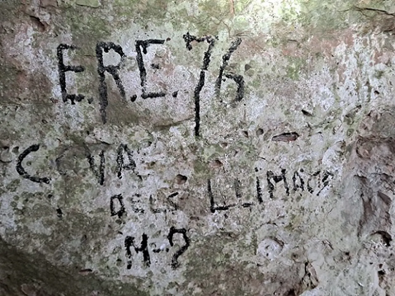 Fotografia de LLIMACS, COVA DELS