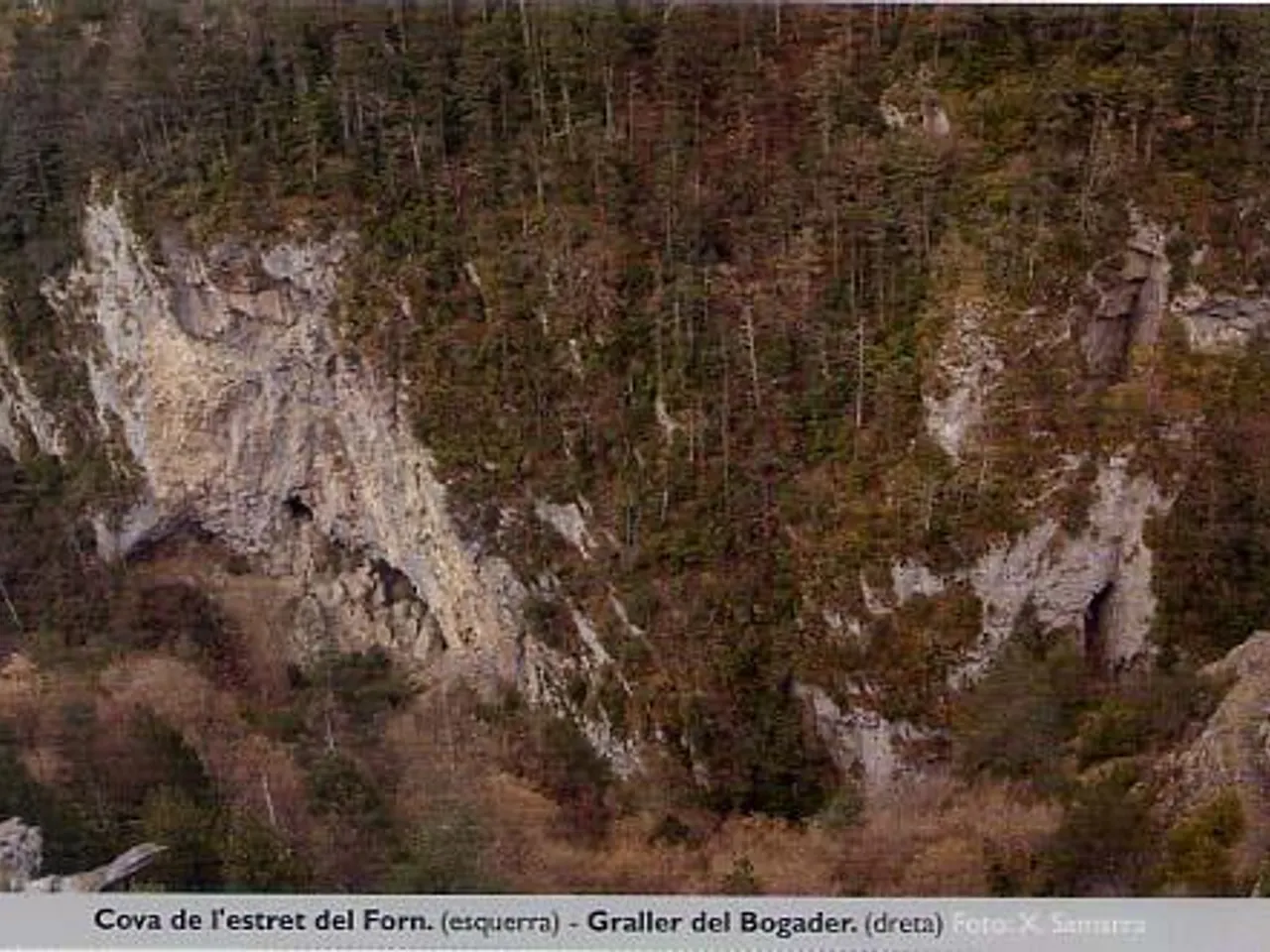 Fotografia de BOGADER, GRALLER DEL