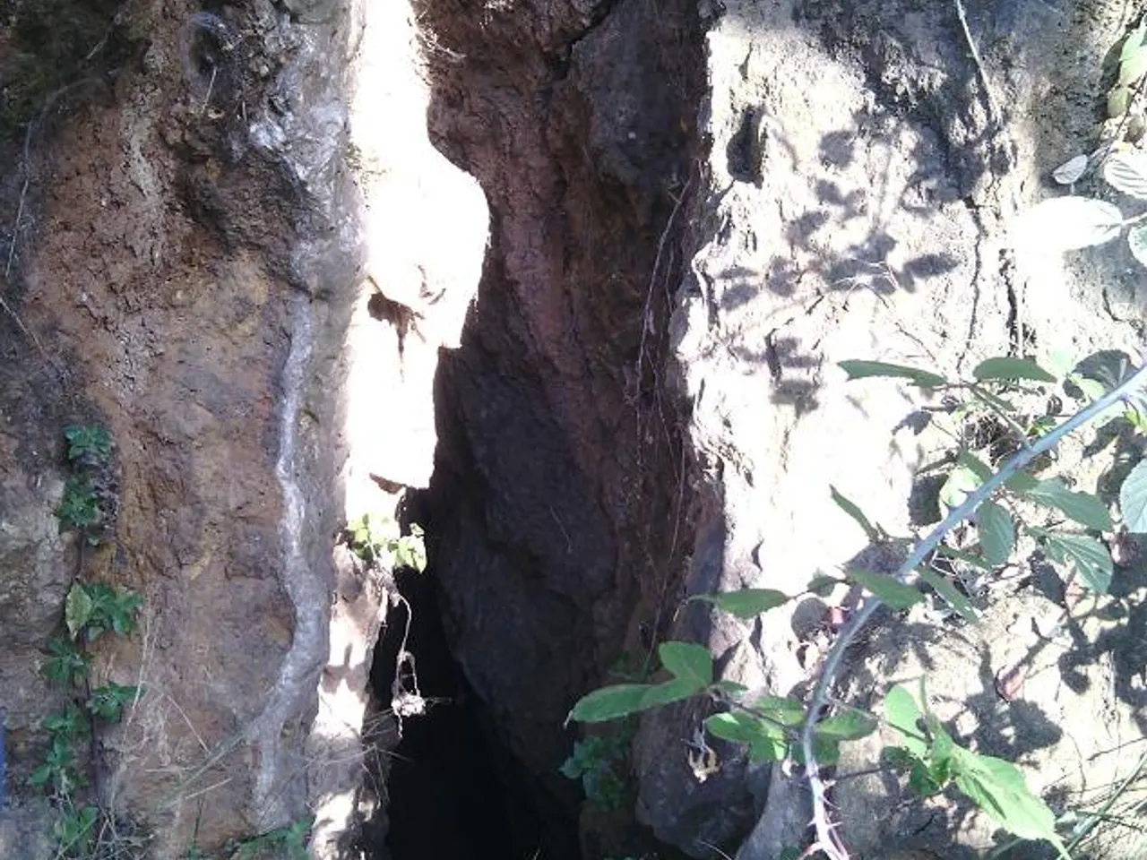 Fotografia de CEMENTIRI, FORAT DEL