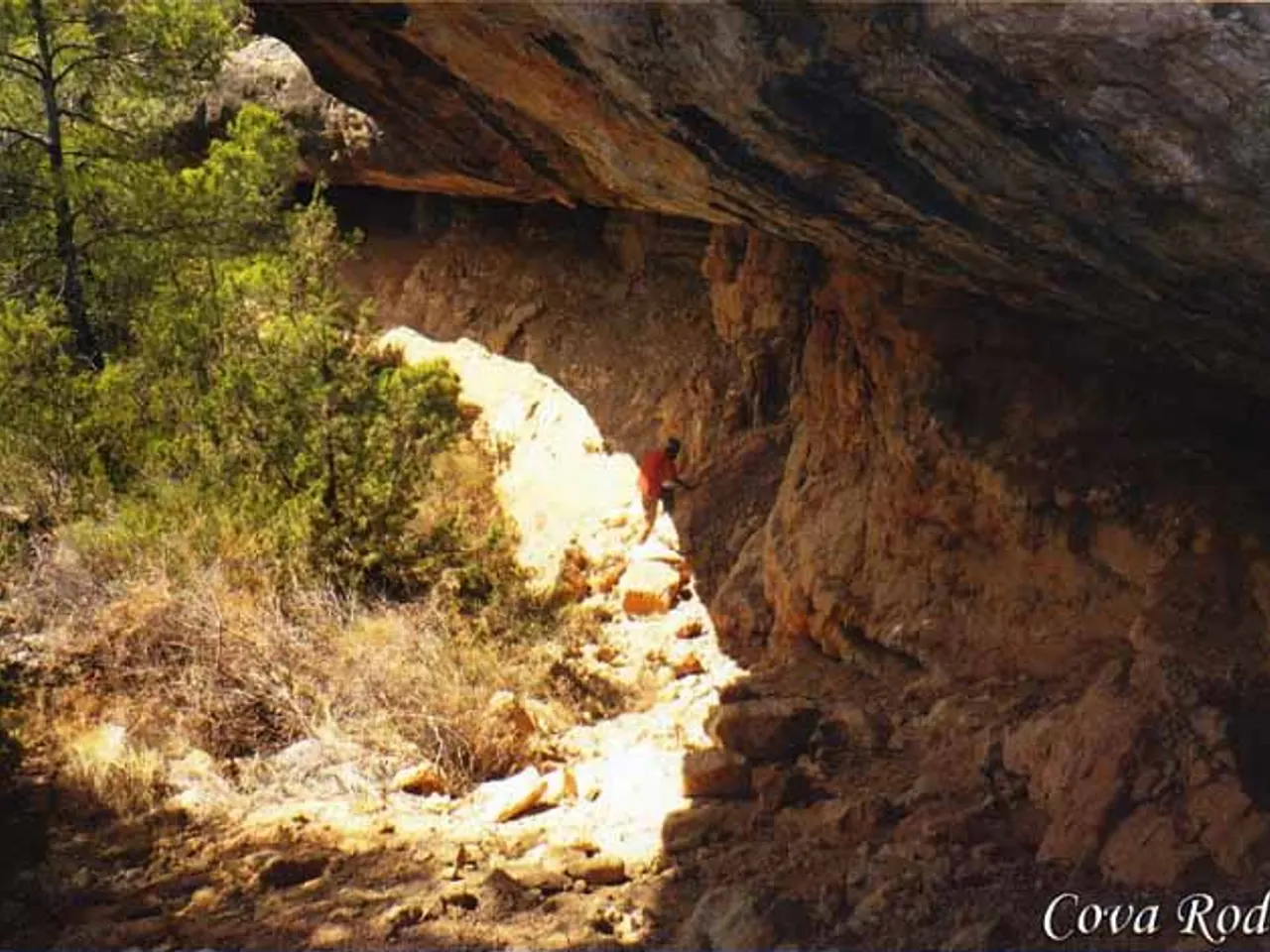 Photographie de RODONA, COVA