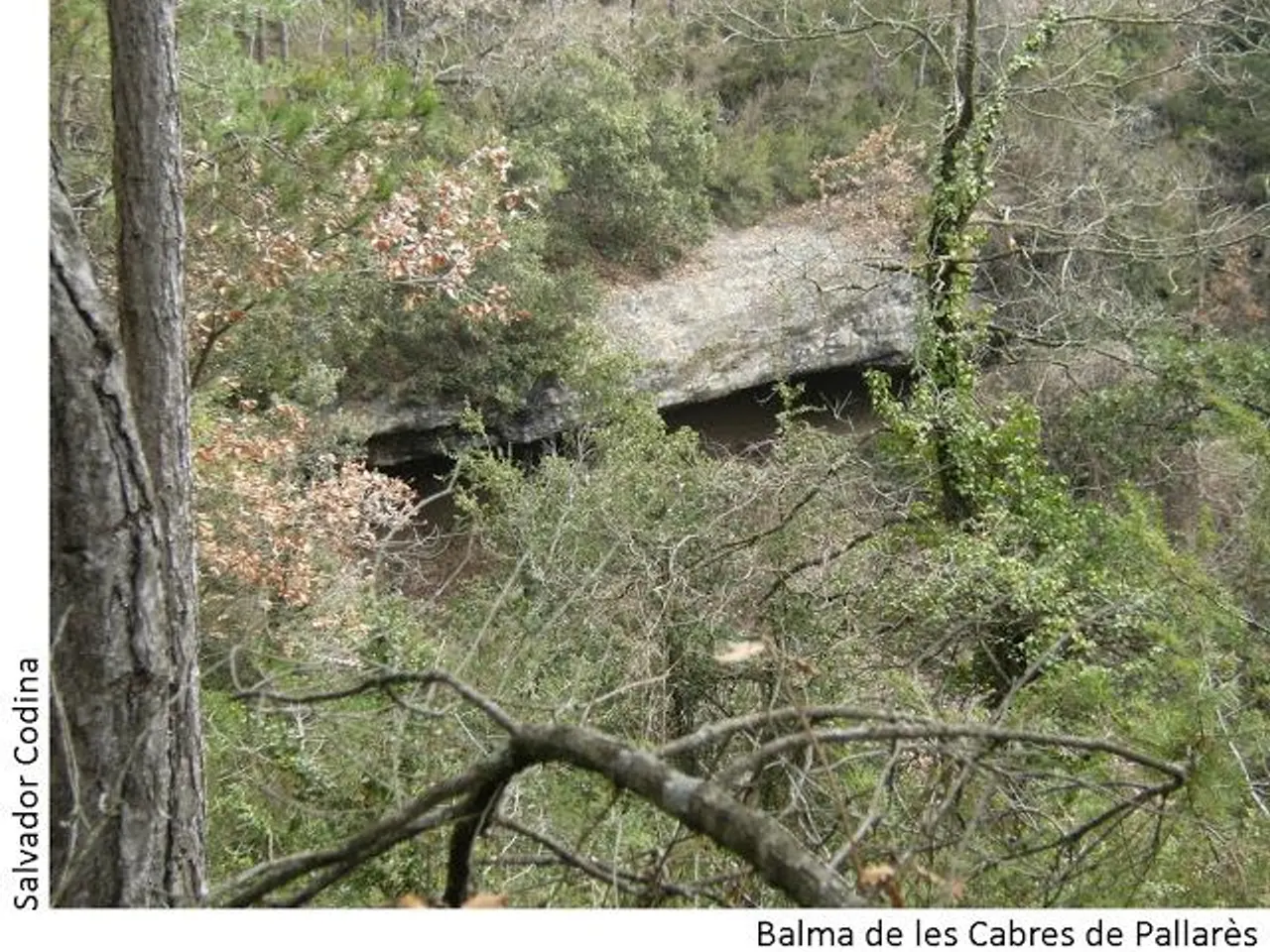 Photographie de CABRES DE PALLARÈS, BALMA DE LES