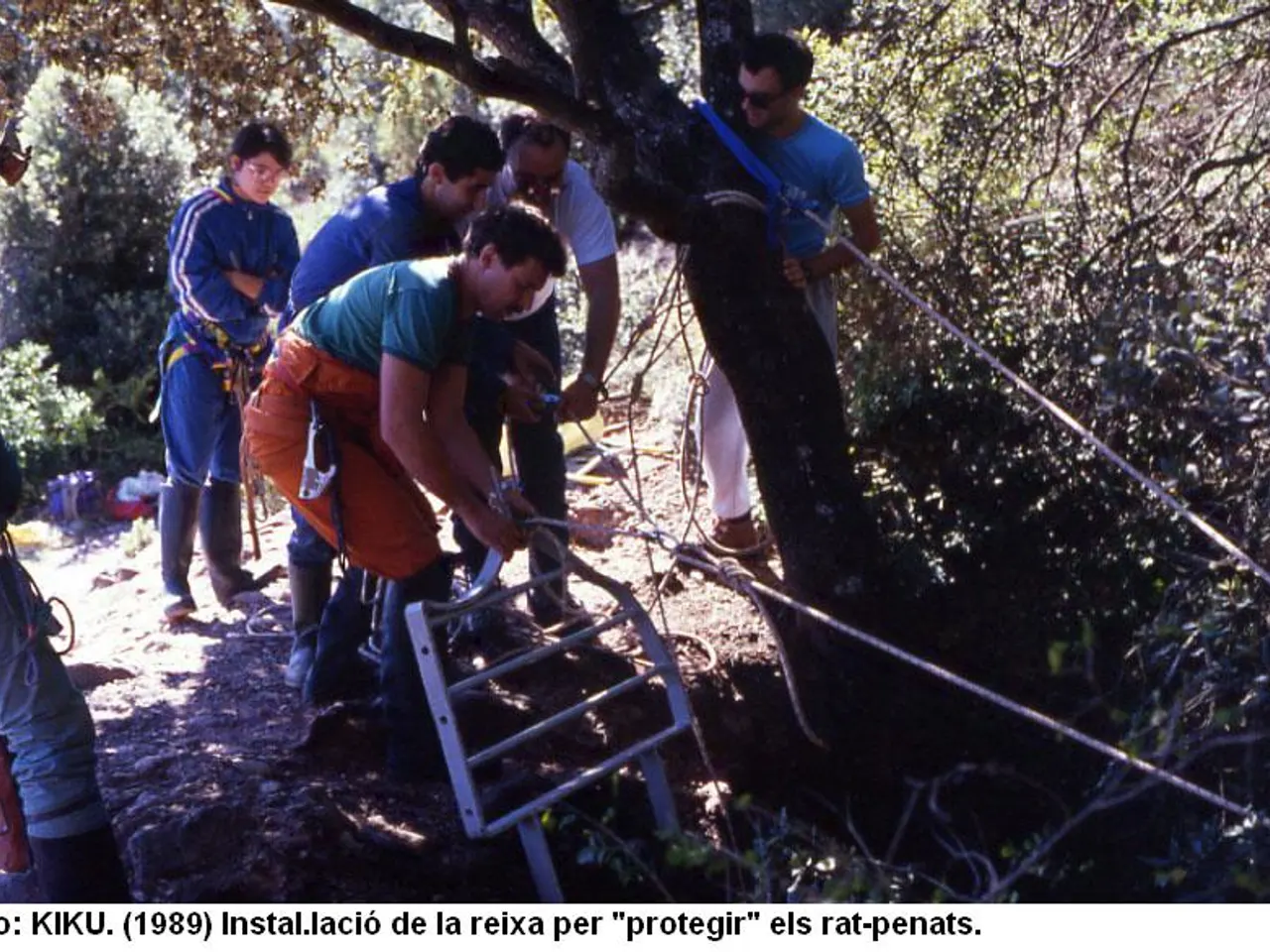 Photographie de DAVÍ, AVENC DEL