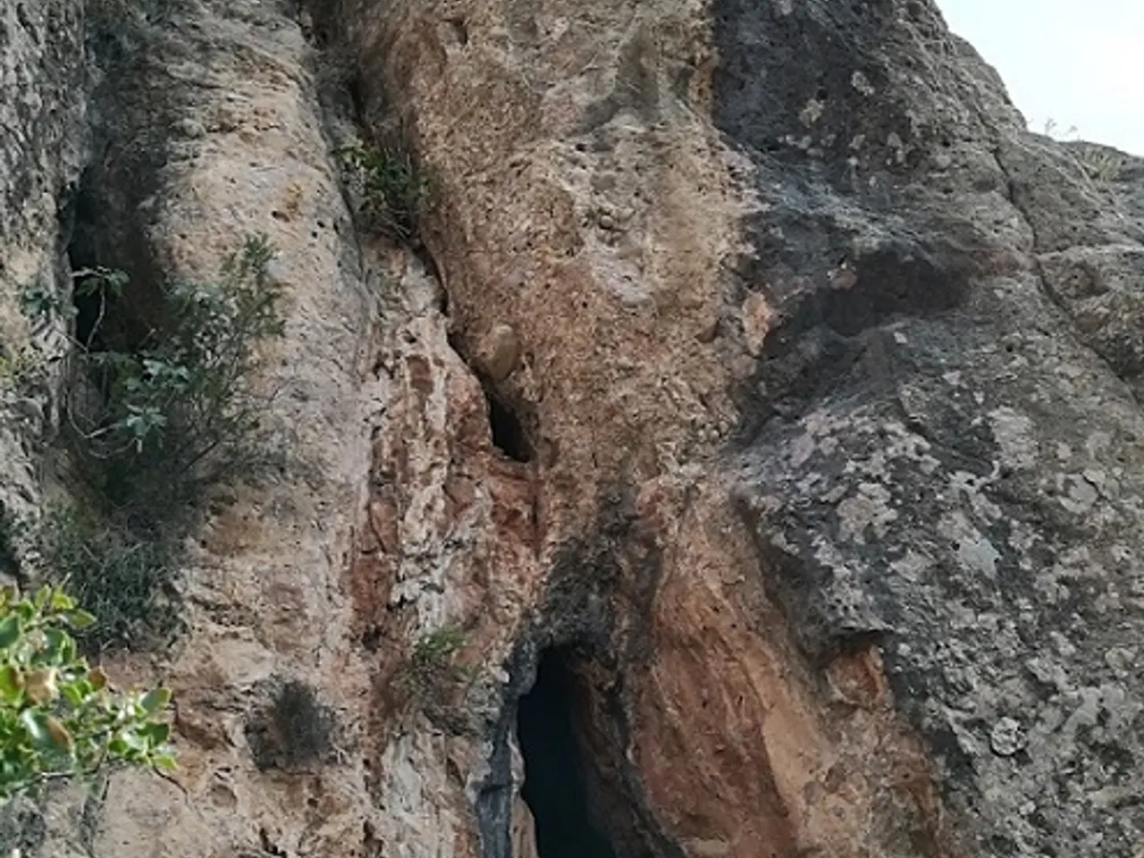 Fotografía de SALNITRE, COVA C.3 DEL