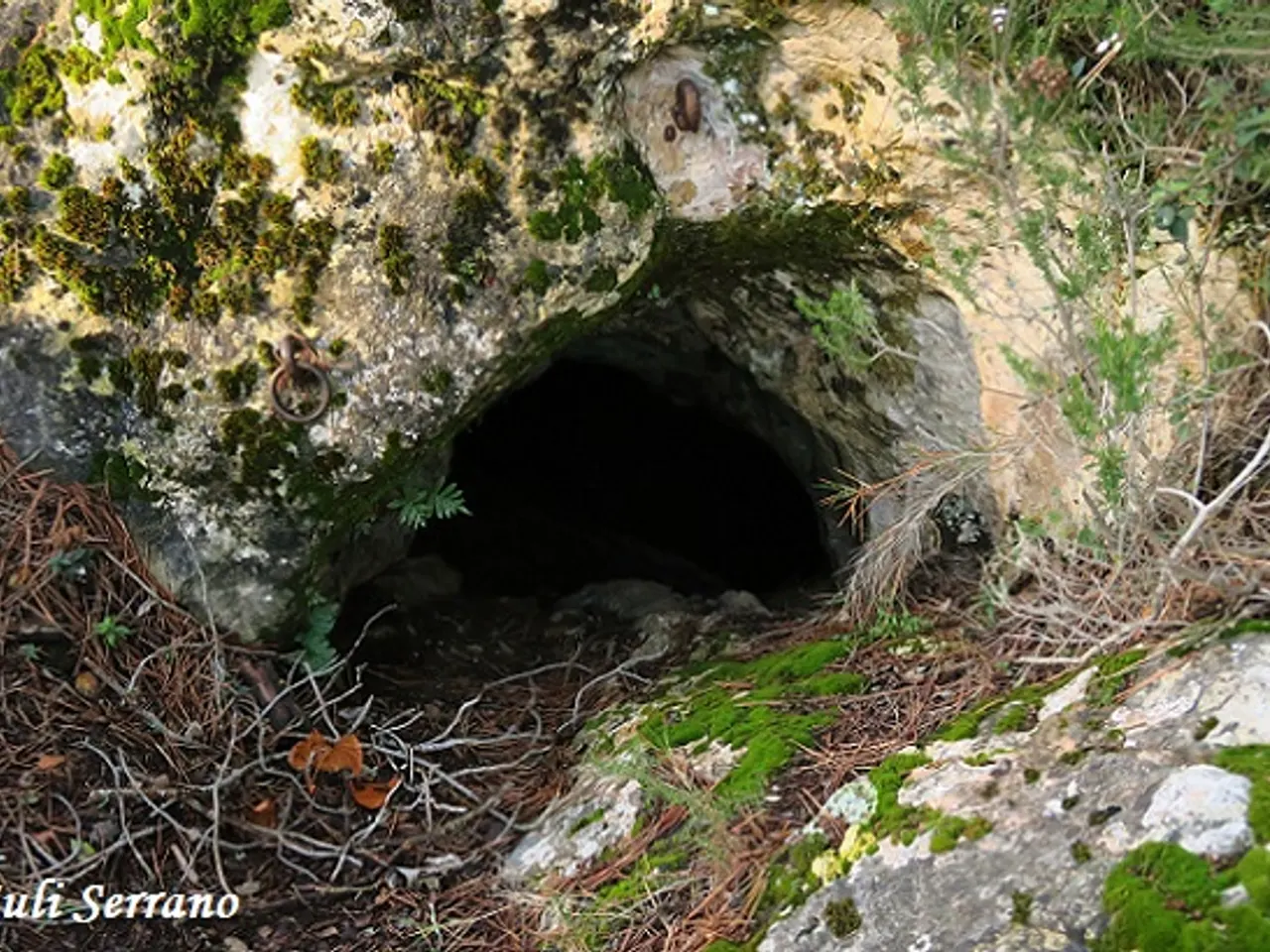 Fotografia de MAS D'EN TONI, COVA-AVENC DEL