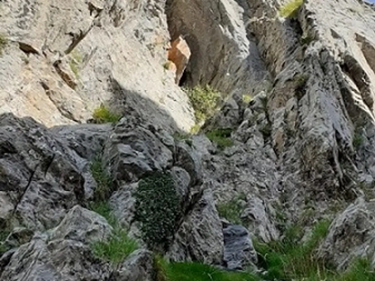 Fotografia de MONT, FORAT DEL