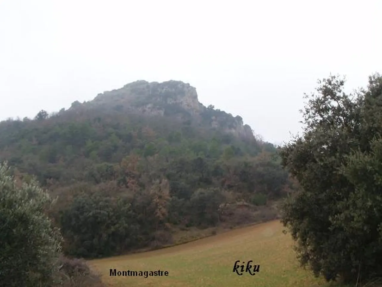 Fotografía de FORANICO,  LO