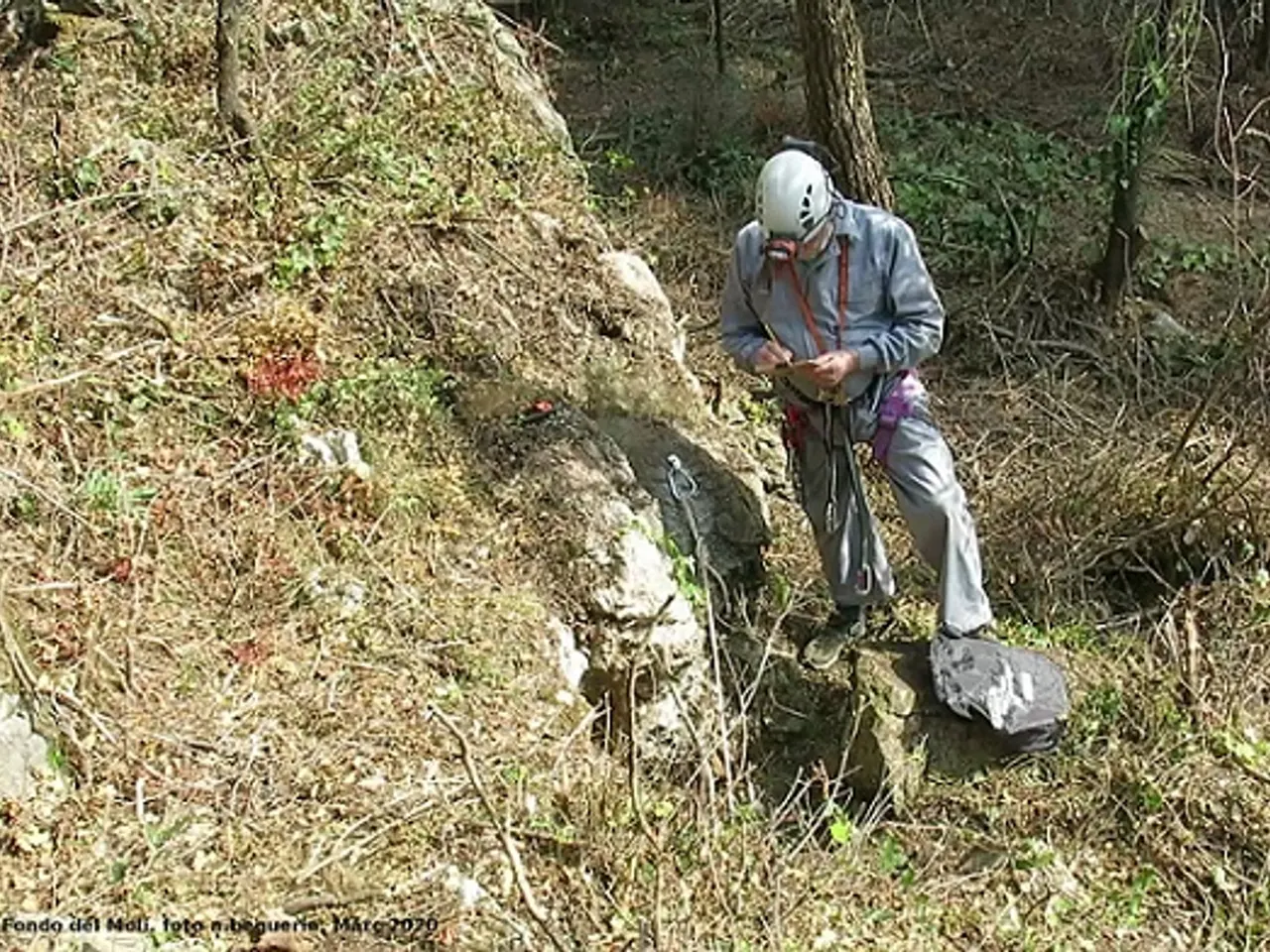 Photograph of FONDO DEL MOLÍ, AVENC DEL