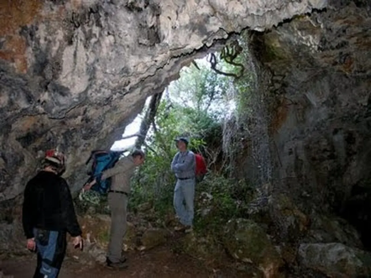 Photographie de OLLA, COVA DE L'
