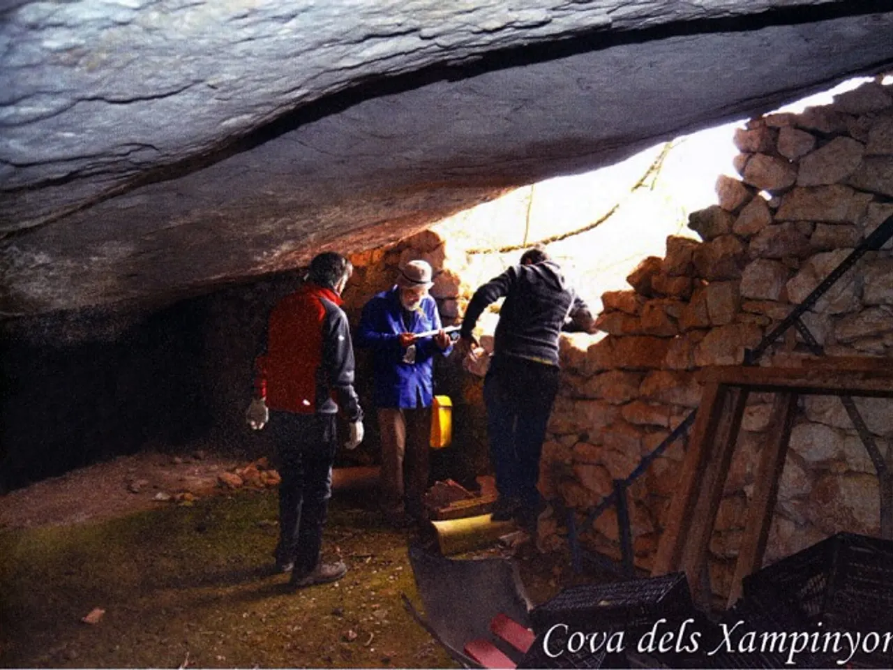 Fotografia de XAMPINYONS, COVA DELS