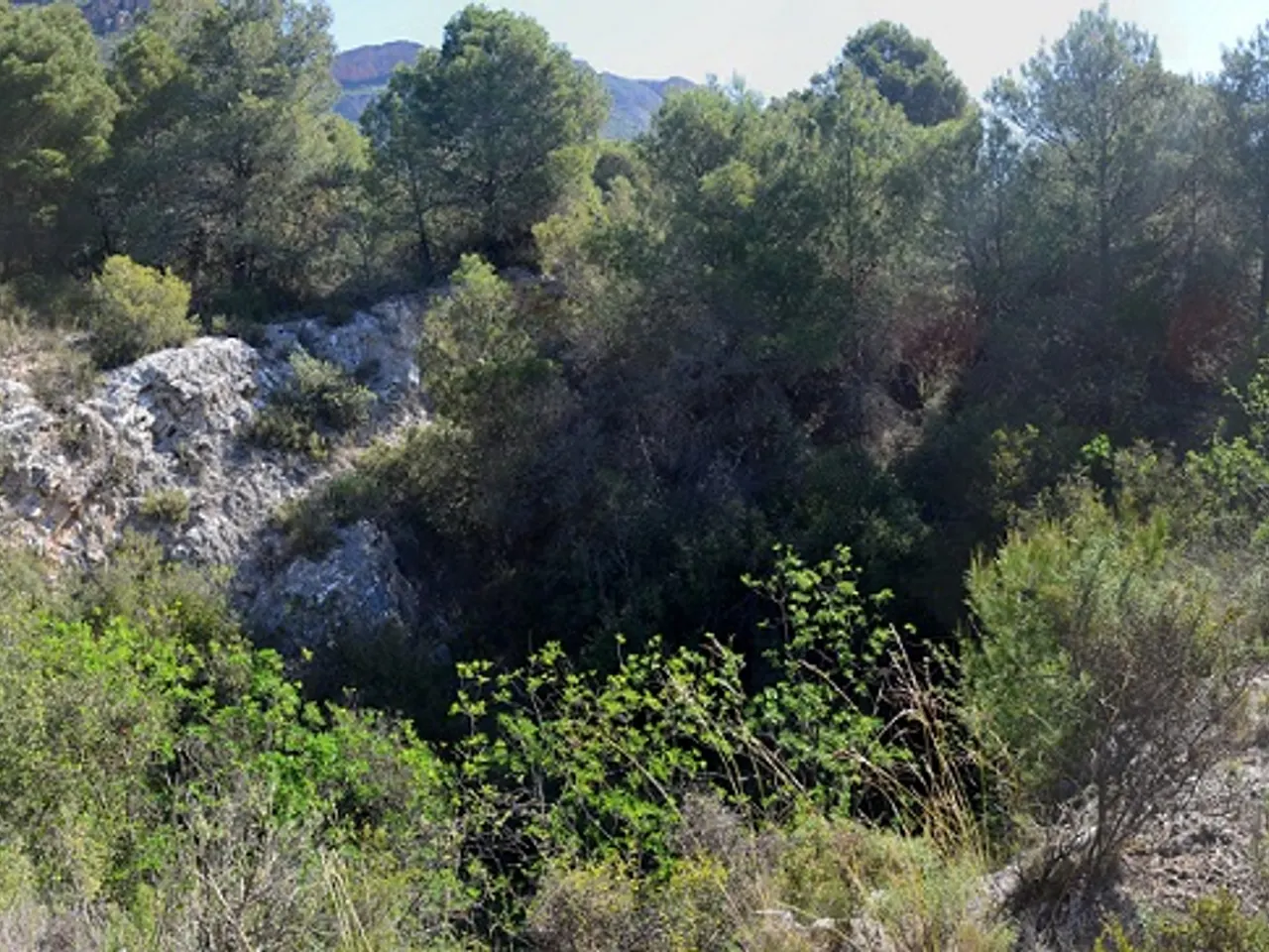 Fotografía de TÚNEL, FORAT DEL