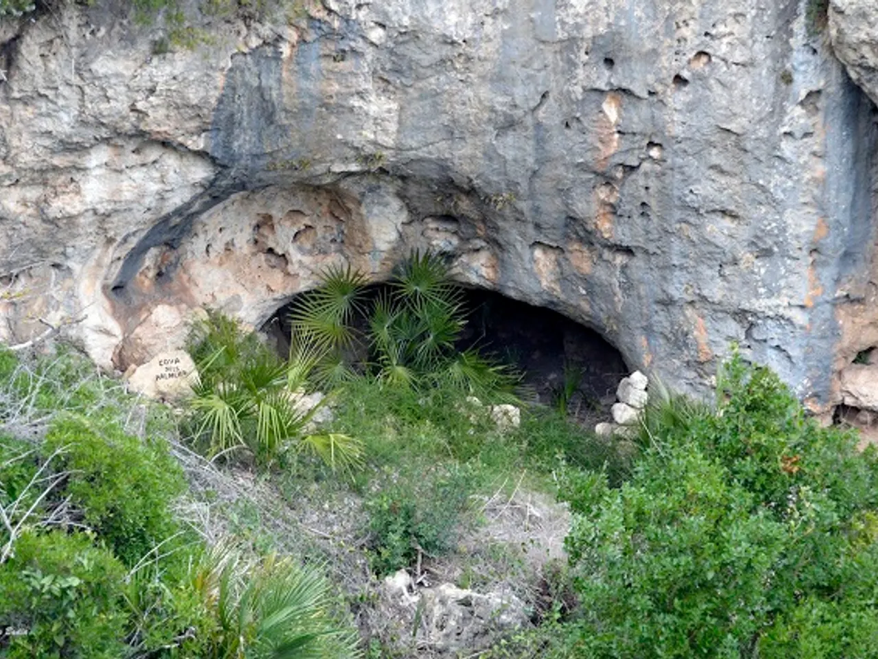 Photographie de PALMERS, COVA DELS
