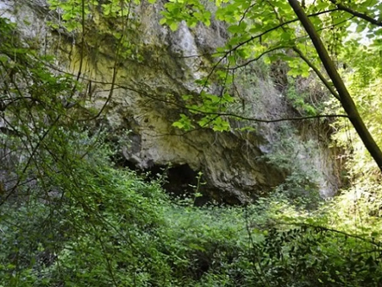 Photographie de NOGUER, BALMA DEL