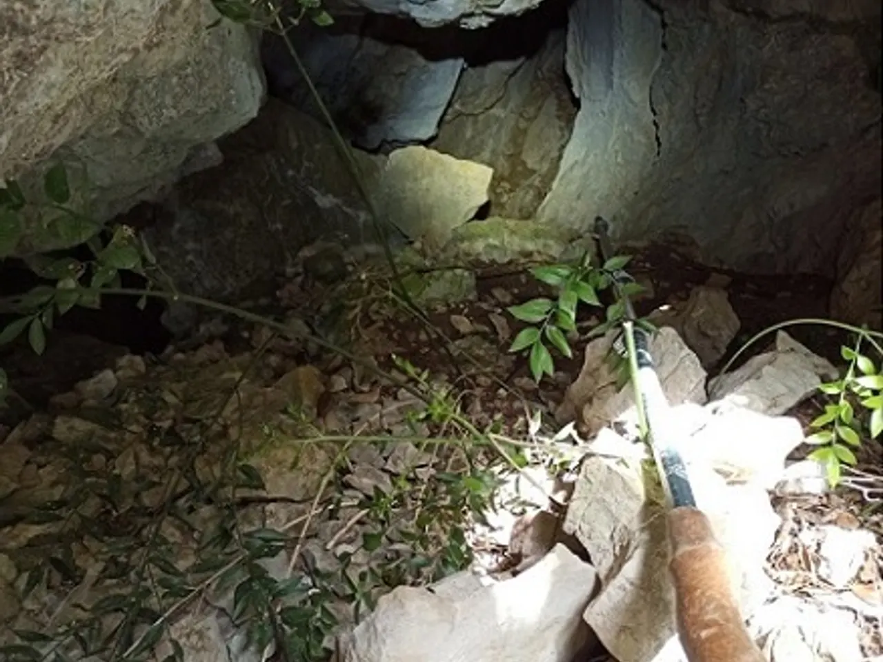 Fotografia de BANCARRASSOS, FORAT DELS