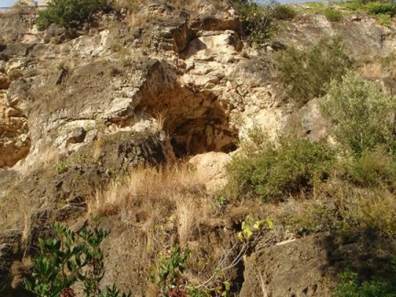 Fotografia de CASTELL, COVA B DEL