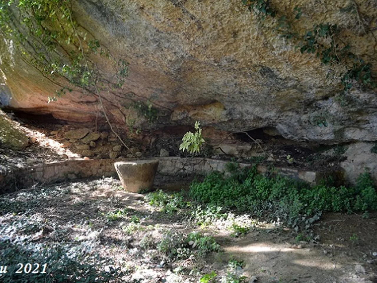 Fotografia de FORESOS, COVA DELS