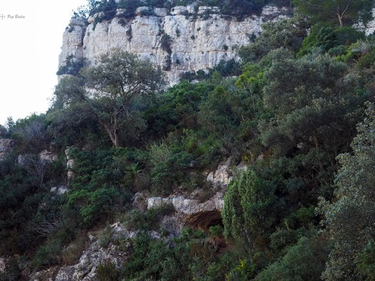 Fotografia de BASSIOL, COVA DEL