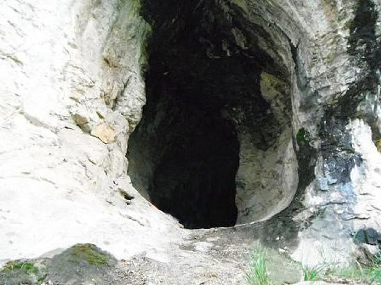 Fotografía de NEGRE DE PUIGANTIC, FORAT