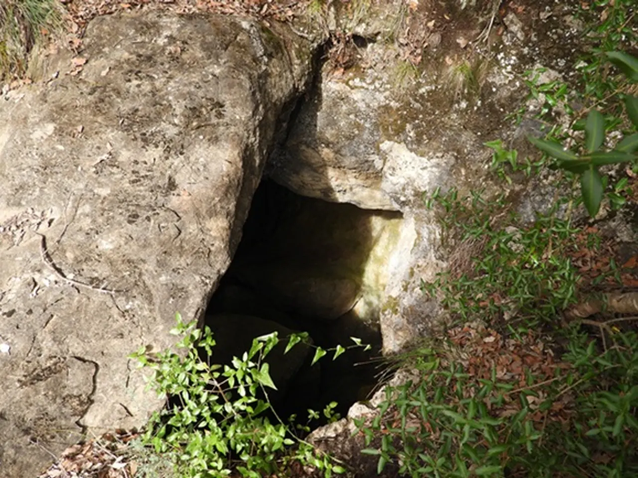 Fotografía de XIQUILLO, COVA DEL