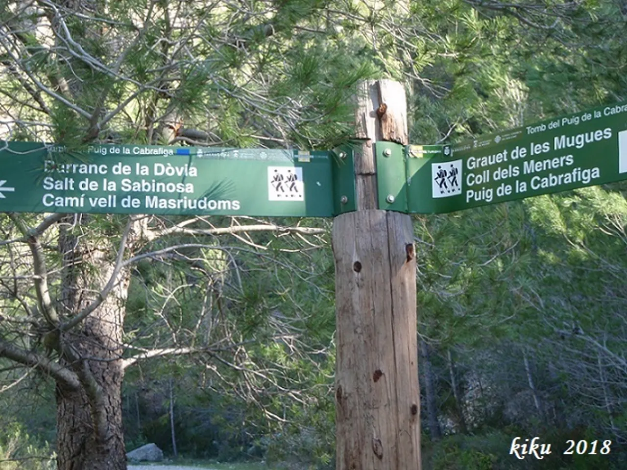 Photographie de BASSA, AVENC DE LA