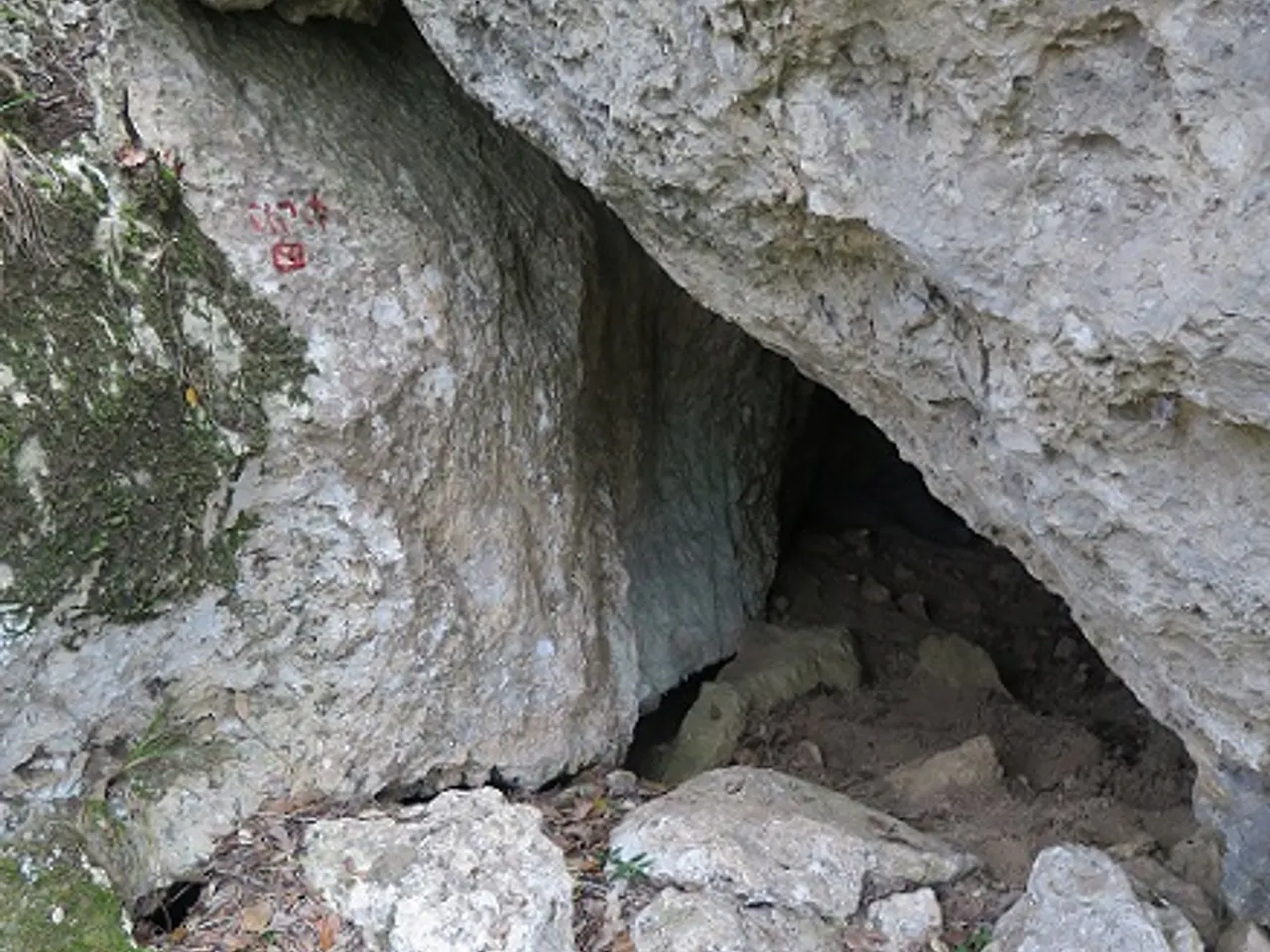 Fotografia de NR-9, COVA
