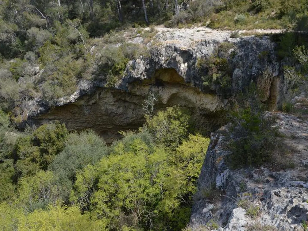 Fotografía de GARROT, COVA D'EN