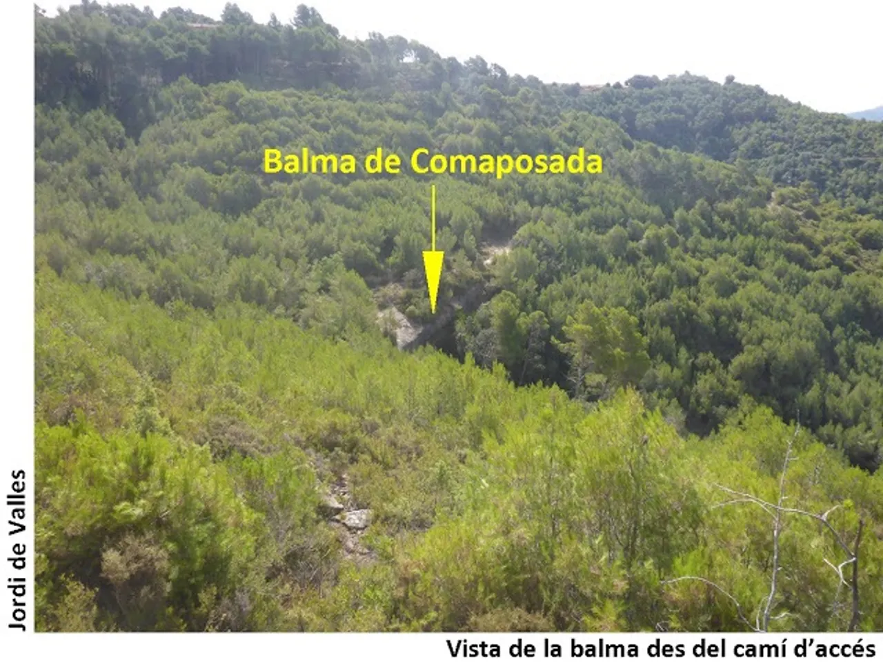 Photograph of COMAPOSADA, BALMA DE