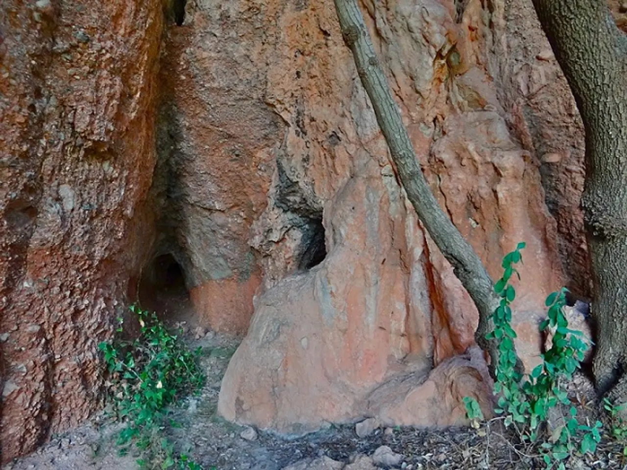 Fotografia de CAP DEL FARAÓ, COVA DEL