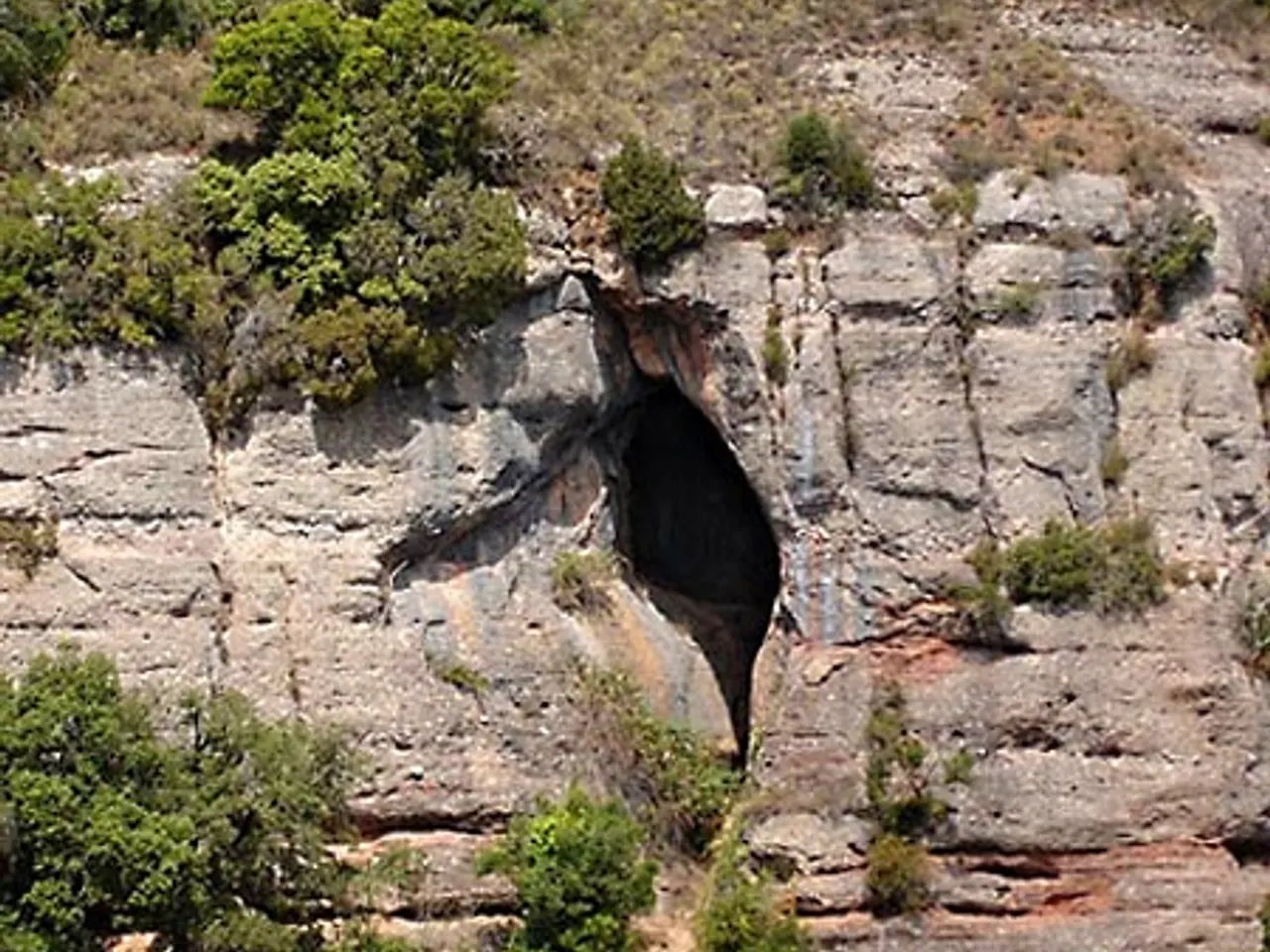 Photograph of SIMANYA, COVA