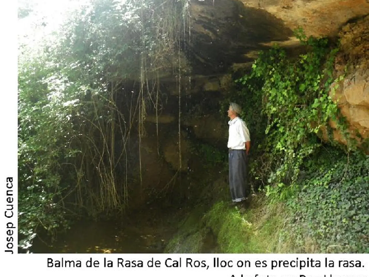 Fotografia de RASA DE CAL ROS, BALMA DE LA