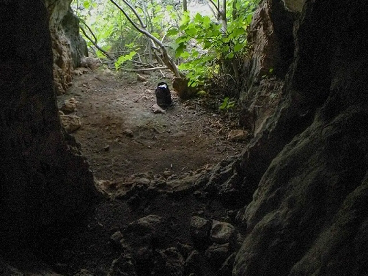 Photographie de MINGOLA, COVA