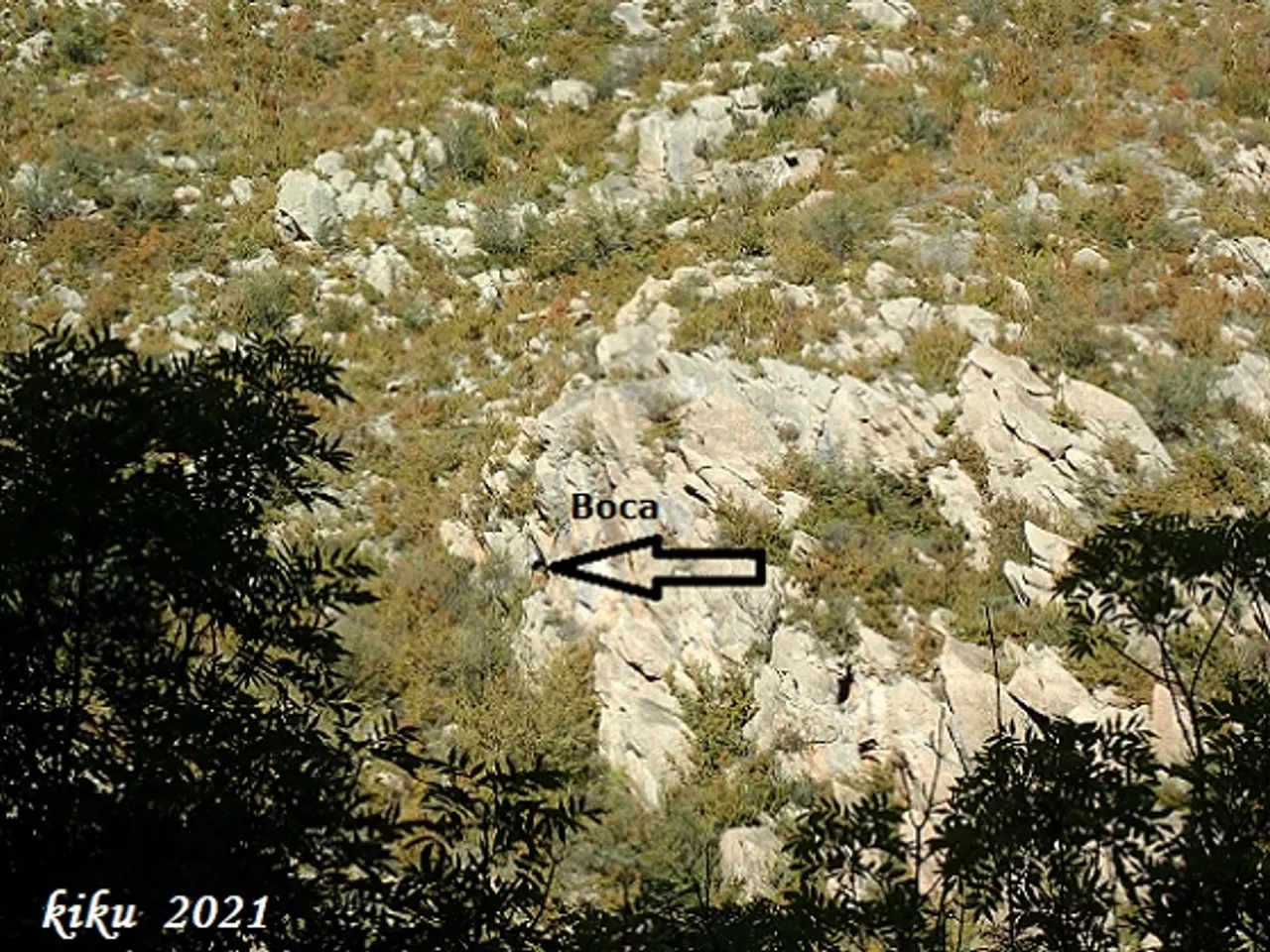 Fotografía de OLOPTE, COVA G D'