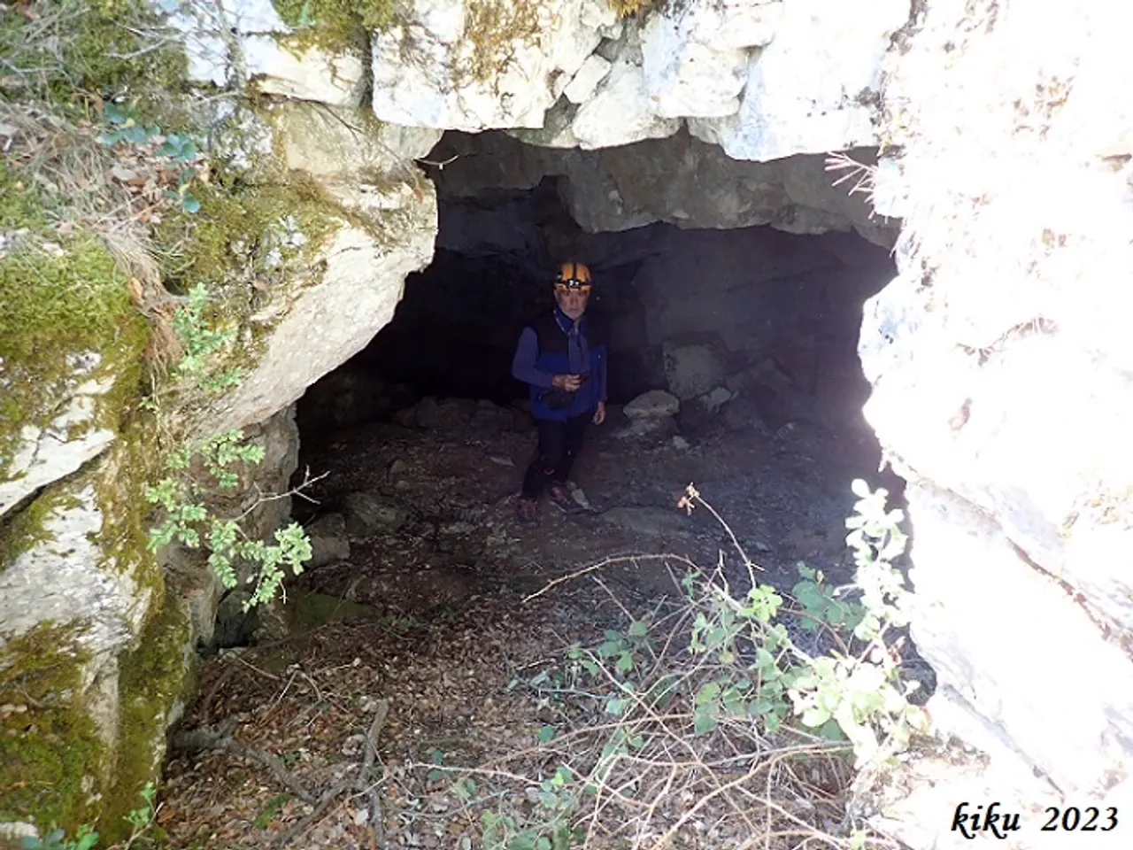 Photograph of GAT CENDRER, FORAT DEL