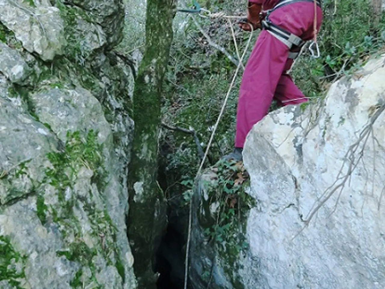 Fotografia de CAMÍ DEL TEIX, AVENC Nº2 DEL