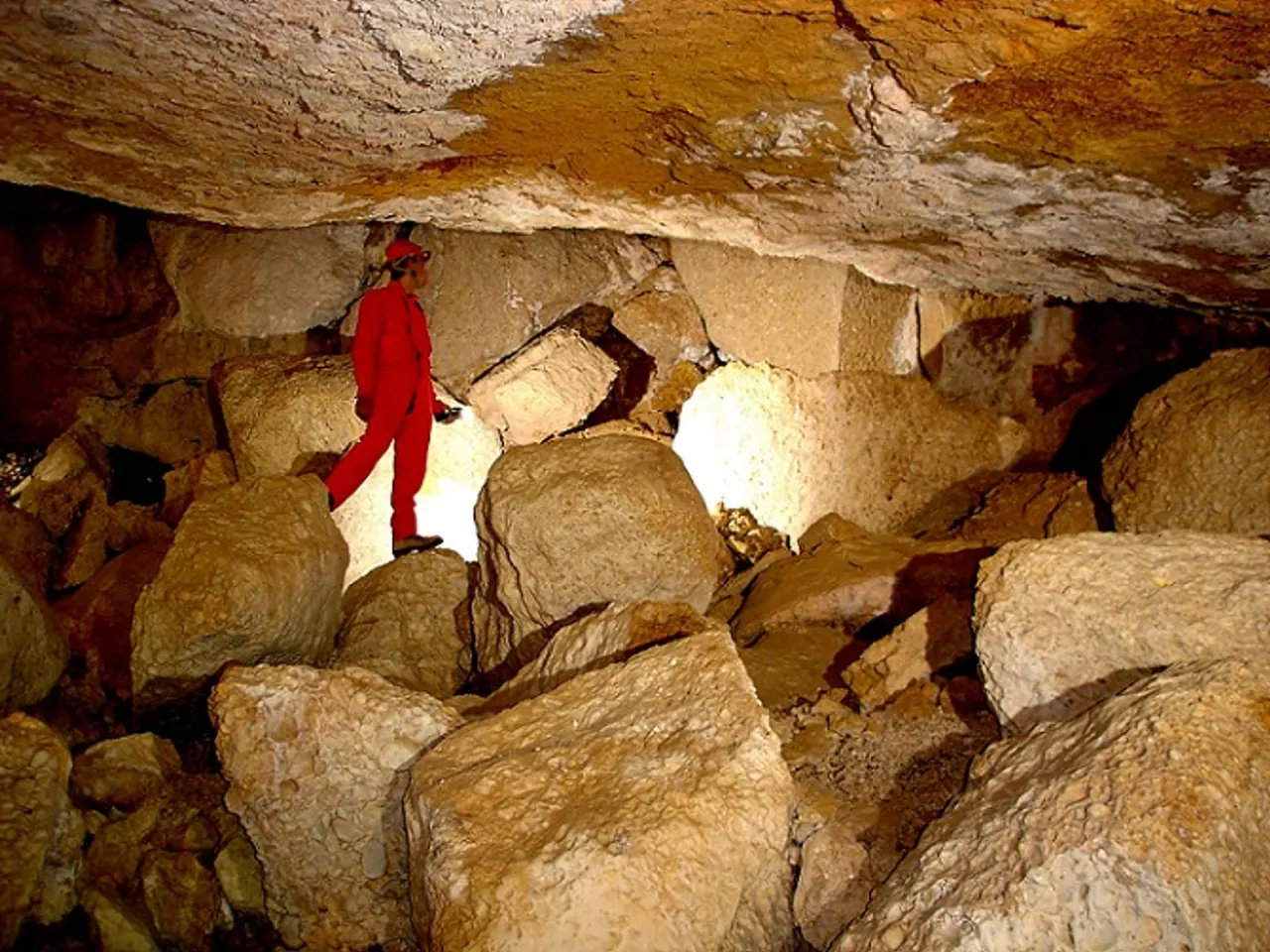 Photographie de COMA CLOSA INFERIOR, COVA DE LA