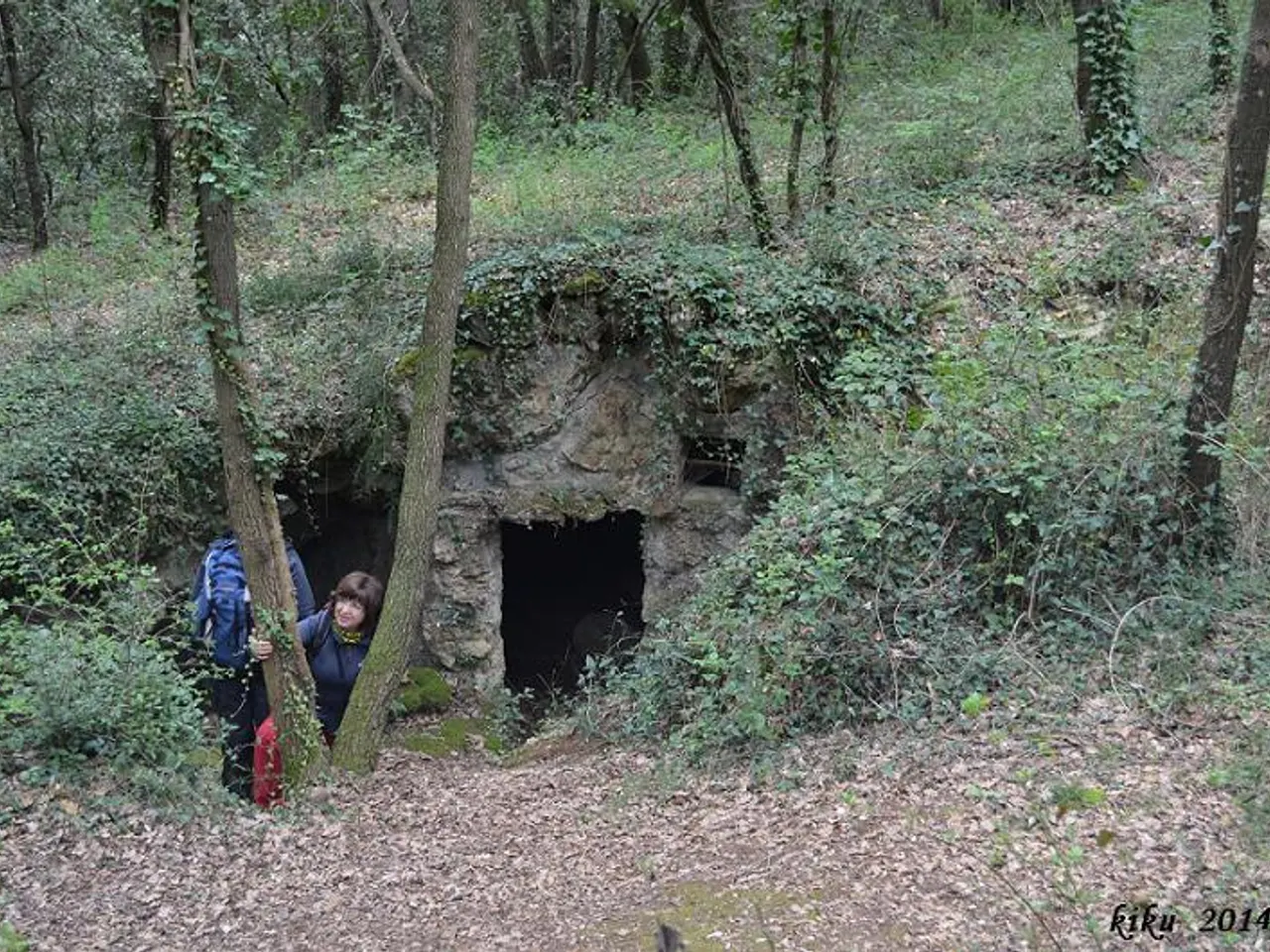 Photograph of MARIVER DE MARTÍS Nº2, COVA DE