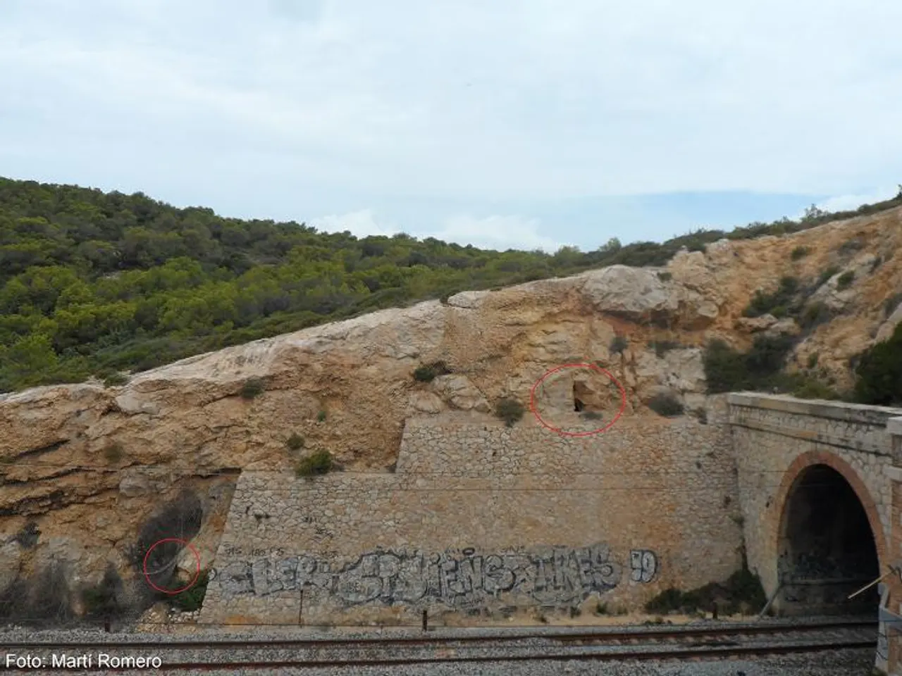 Fotografia de PUNTA GROSSA, COVA DE LA