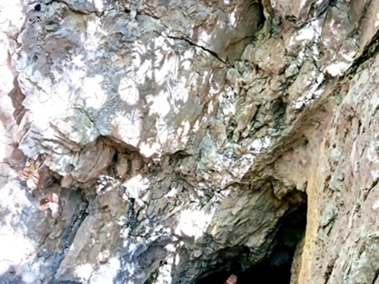 Fotografia de RESCLUSANYS, COVA DE