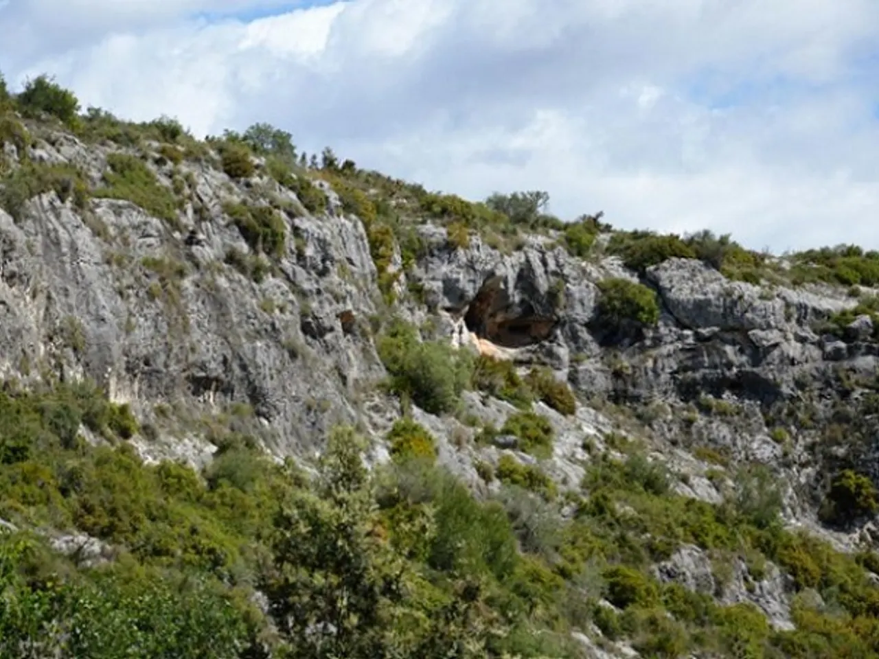 Fotografía de SEGARULLS, COVA DE