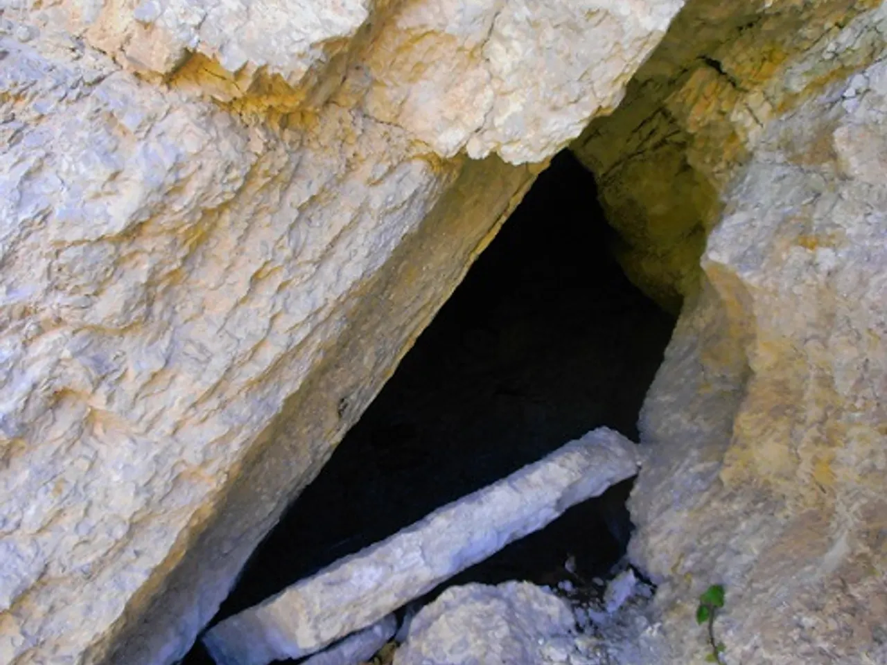 Fotografia de RIBA, COVA DE LA