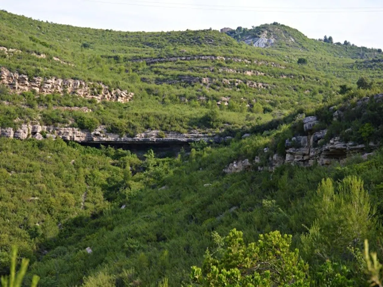 Fotografia de AVELLÀ, BALMA DE L'