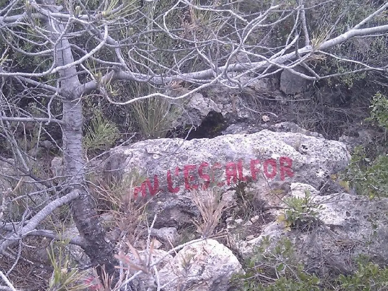 Fotografia de ESCALFOR, AVENC DE L'