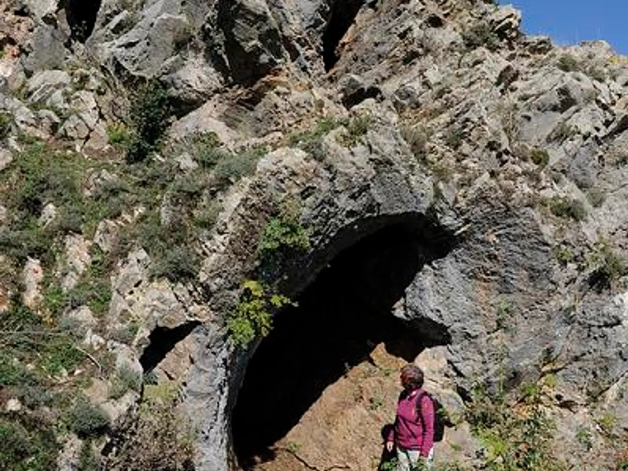 Fotografia de FRESCA, COVA