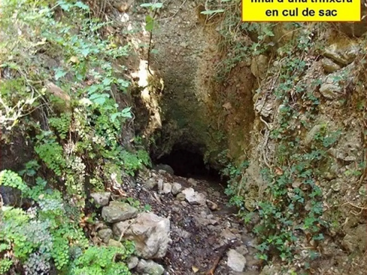 Photographie de FONT CALENTA, COVA DE LA