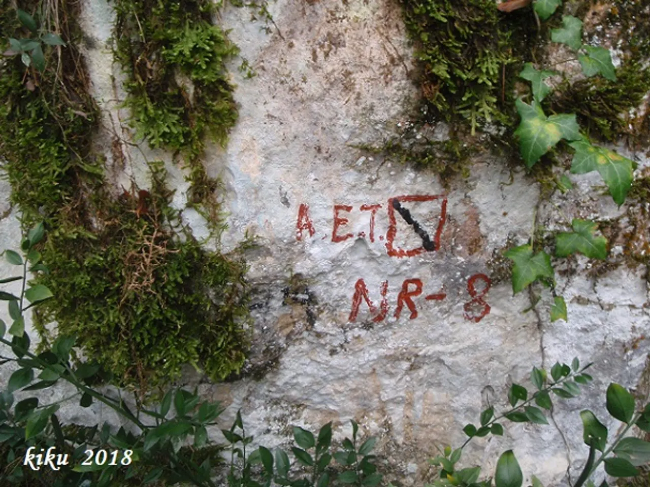 Fotografía de NR-8, AVENC