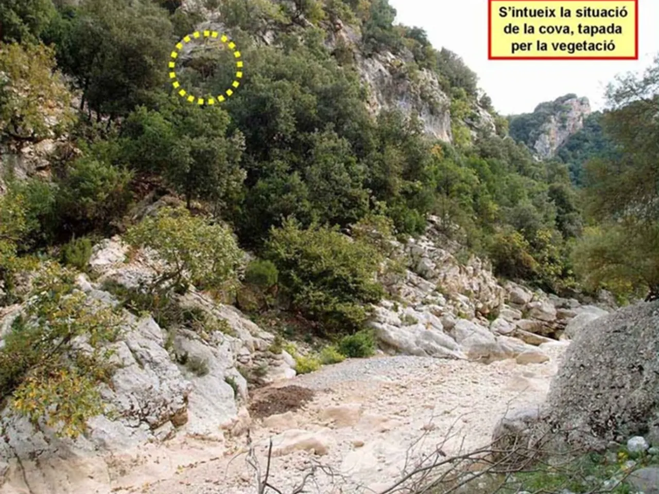 Photograph of RIERA D'ESCALES, COVA DE LA