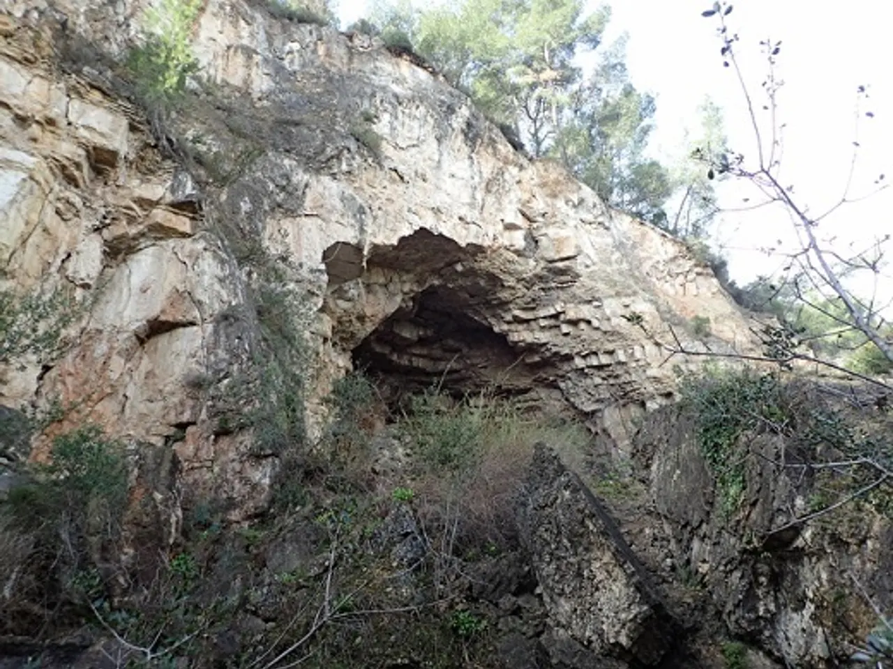 Fotografía de LLEÓ, COVA DEL